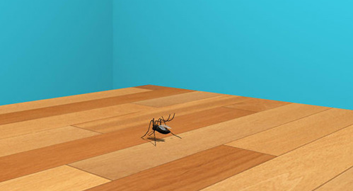  《支付宝》蚂蚁庄园2022年8月6日每日一题答案