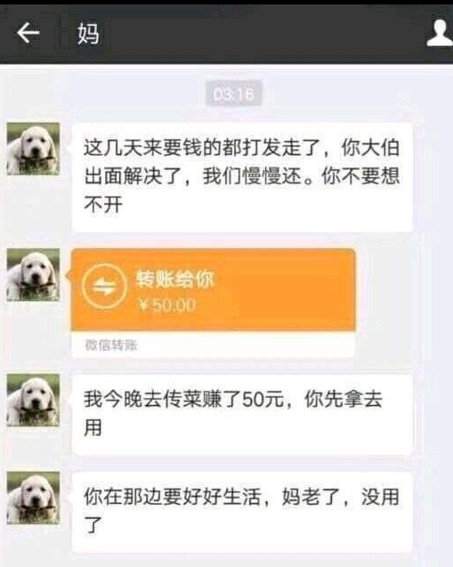 网络用语妈传菜梗的意思介绍