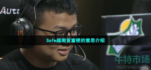 Sofm越南首富梗的意思介绍