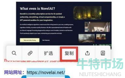 《Novelai》网页注册教程
