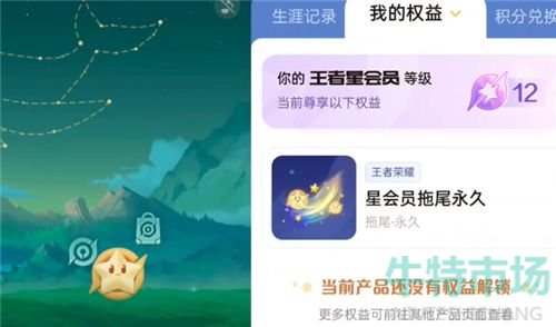 《王者荣耀》星会员15级价格介绍