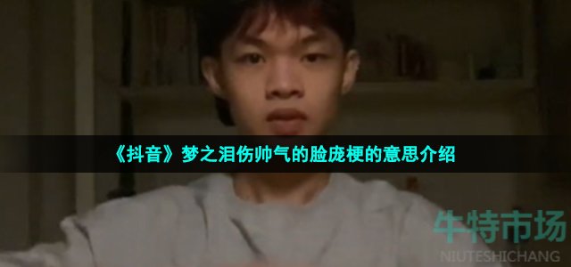 《抖音》梦之泪伤帅气的脸庞梗的意思介绍