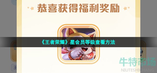 《王者荣耀》星会员等级查看方法