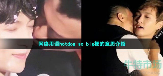 网络用语hotdog so big梗的意思介绍