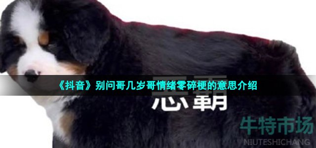 《抖音》别问哥几岁哥情绪零碎梗的意思介绍