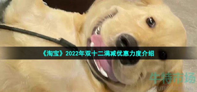 《淘宝》2022年双十二满减优惠力度介绍