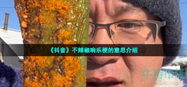 《抖音》不辣椒响乐梗的意思介绍
