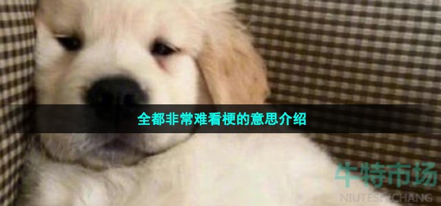 全都非常难看梗的意思介绍