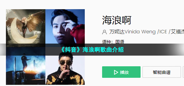 《抖音》海浪啊歌曲介绍