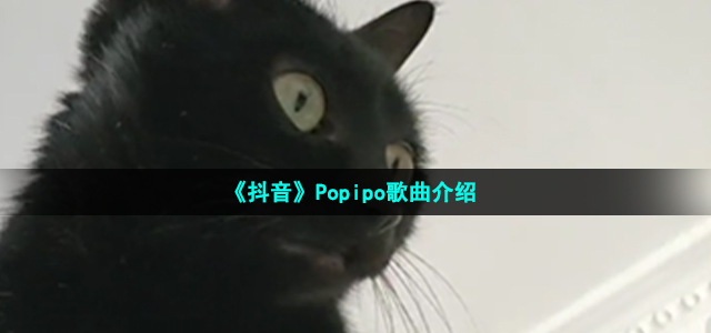 《抖音》Popipo歌曲介绍