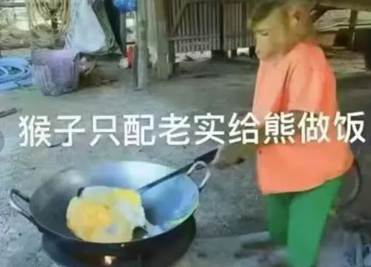 网络用语猴子只配给熊做饭梗的意思介绍