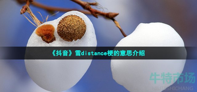 《抖音》雪distance梗的意思介绍