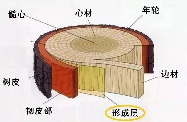 《支付宝》蚂蚁庄园2023年4月26日每日一题答案（2）