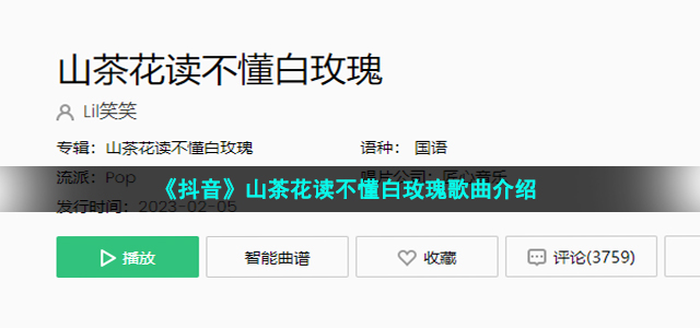 《抖音》山茶花读不懂白玫瑰歌曲介绍