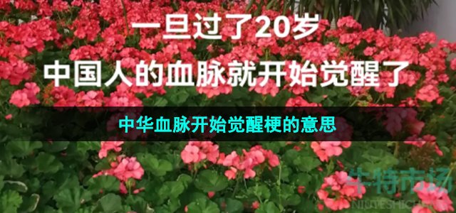 《抖音》20岁中华血脉开始觉醒梗的意思介绍