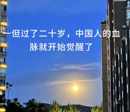 《抖音》20岁中华血脉开始觉醒梗图表情包分享