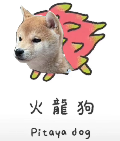 《抖音》水狗经梗图表情包分享