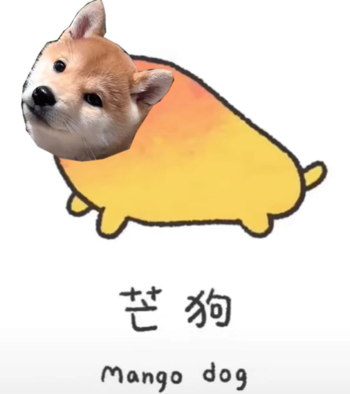《抖音》水狗经梗图表情包分享
