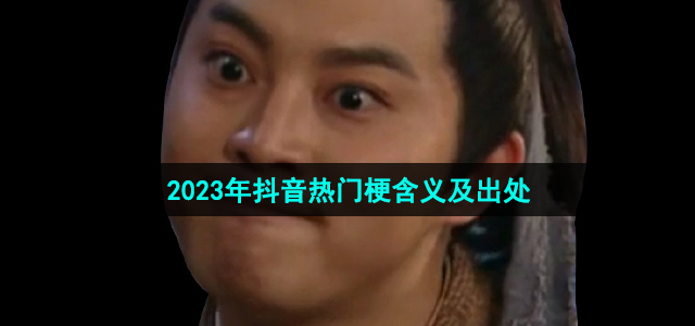 《抖音》2023年热门梗含义及出处介绍汇总大全