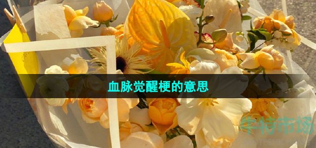 《抖音》血脉觉醒梗的意思介绍