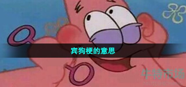 《抖音》宾狗梗的意思介绍