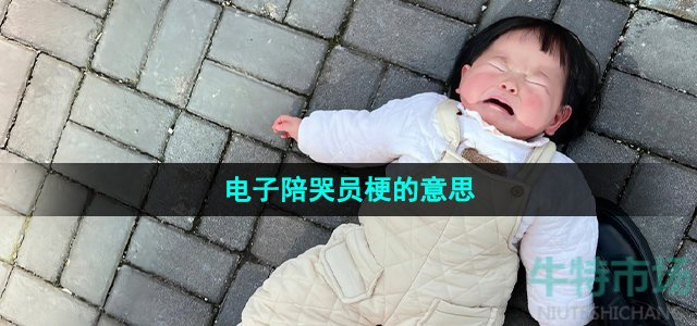 《抖音》电子陪哭员梗的意思介绍