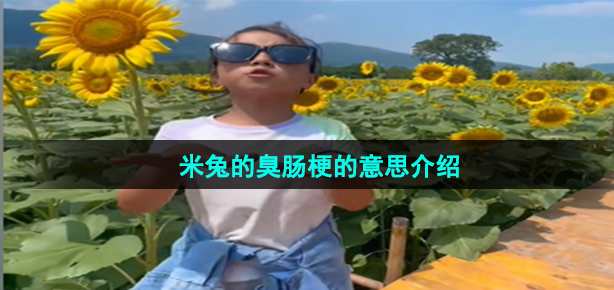 《抖音》米兔的臭肠梗的意思介绍