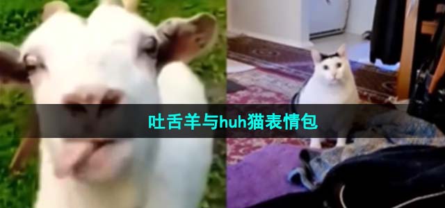 《抖音》吐舌羊与huh猫表情包大全