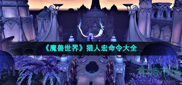 《魔兽世界》猎人宏命令大全
