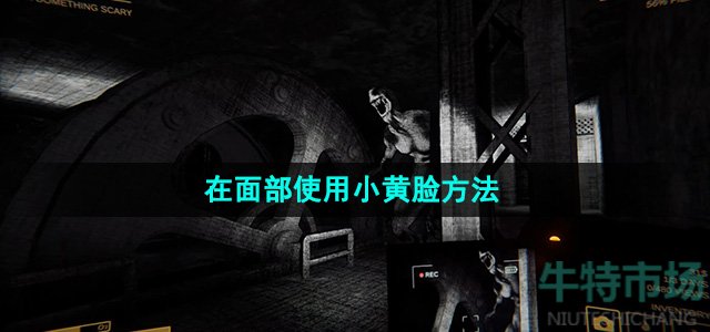 《内容警告》在面部使用小黄脸方法