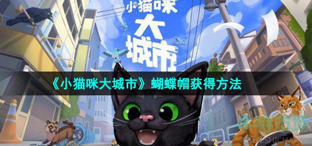 《小猫咪大城市》蝴蝶帽获得方法