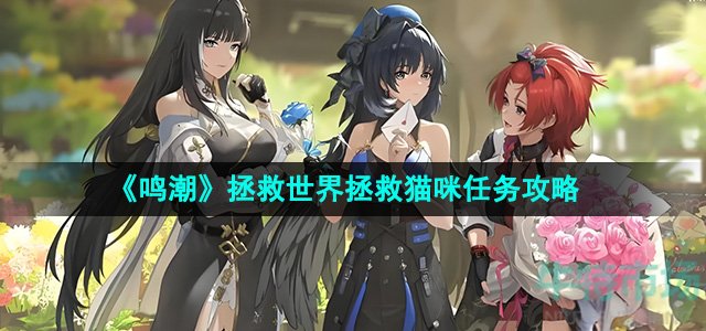 《鸣潮》拯救世界拯救猫咪任务攻略