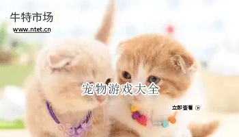 宠物游戏大全