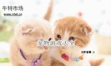 宠物游戏大全