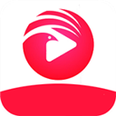 小鸟影院手机软件app