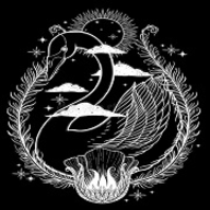 天鹅影视手机软件app