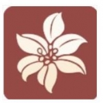 300百合会手机版手机软件app