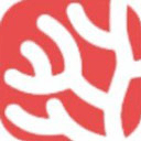 珊瑚小说手机软件app