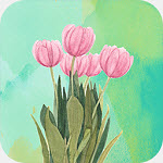 高清氧气壁纸手机软件app