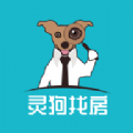 灵狗找房手机软件app