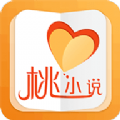 桃小说手机软件app