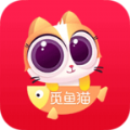 觅鱼猫手机软件app