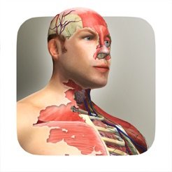 放置人类手游app