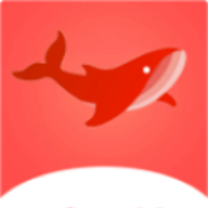 飞鱼影视蓝色版手机软件app