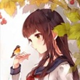 翠鸟直播手机软件app