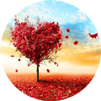 爱枫英语学习手机软件app