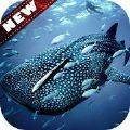 鲸鱼壁纸手机软件app