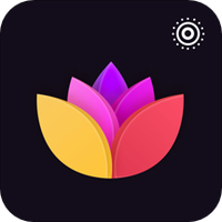 壁纸屋手机软件app