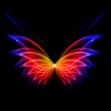 动态壁纸秀秀手机软件app