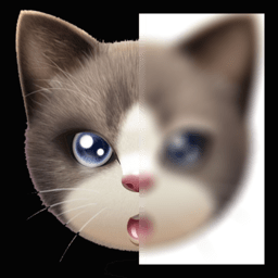 趣拍玩图照相机手机软件app